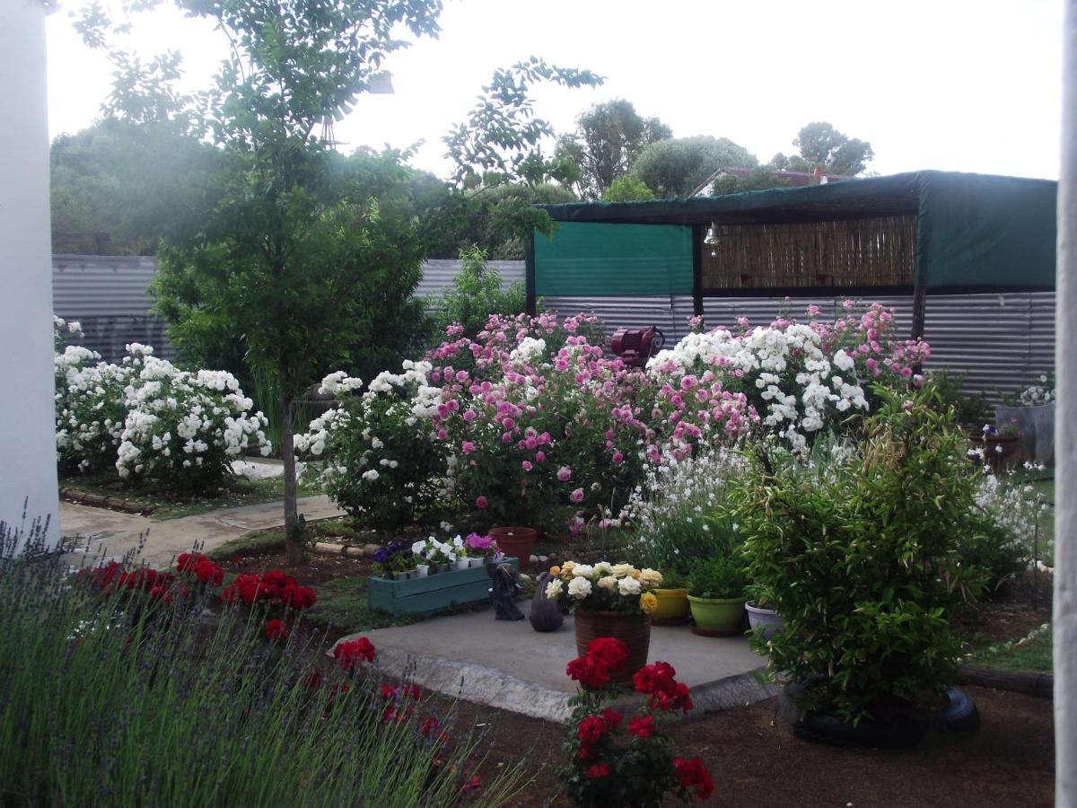 Bethulie Lavender Rose B&B 외부 사진