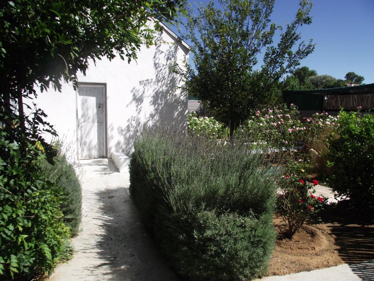 Bethulie Lavender Rose B&B 외부 사진